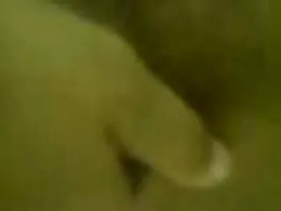 نوجوان سکس کفش تاتو شده دوست دختر می گیرد
